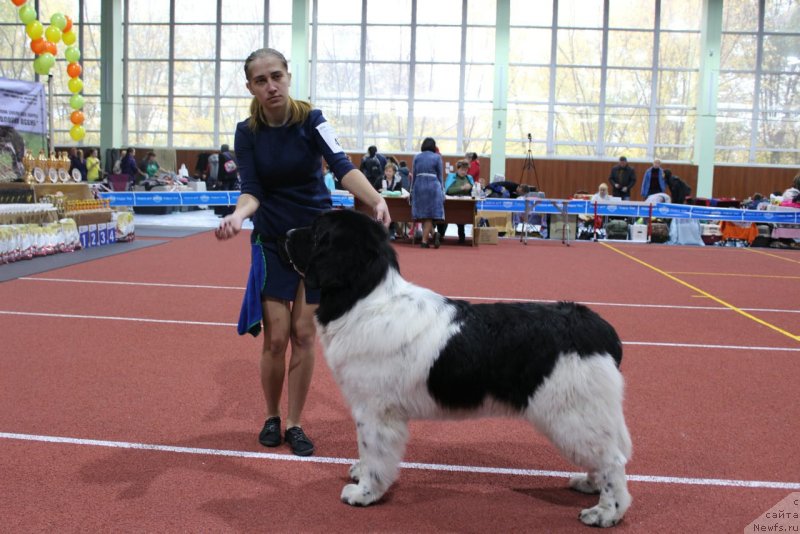 Фотография № 241436