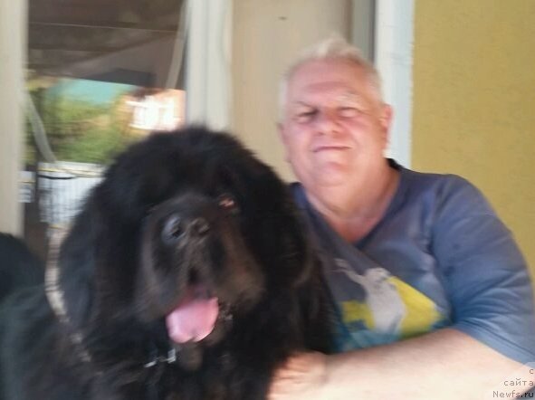 Фотография № 241454