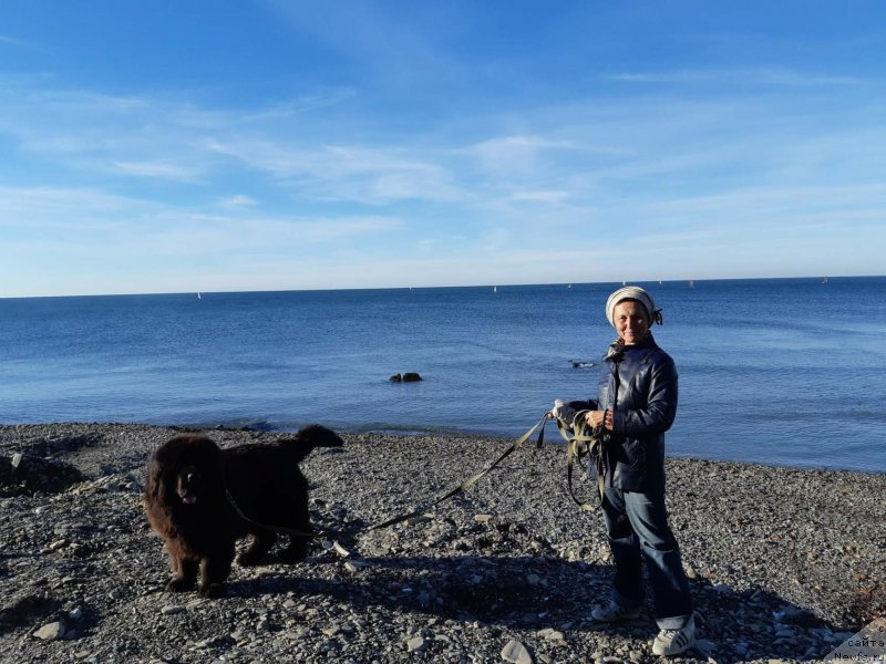 Фотография № 241456