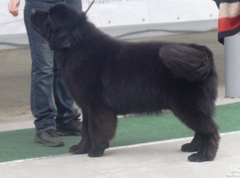 Фотография № 241511