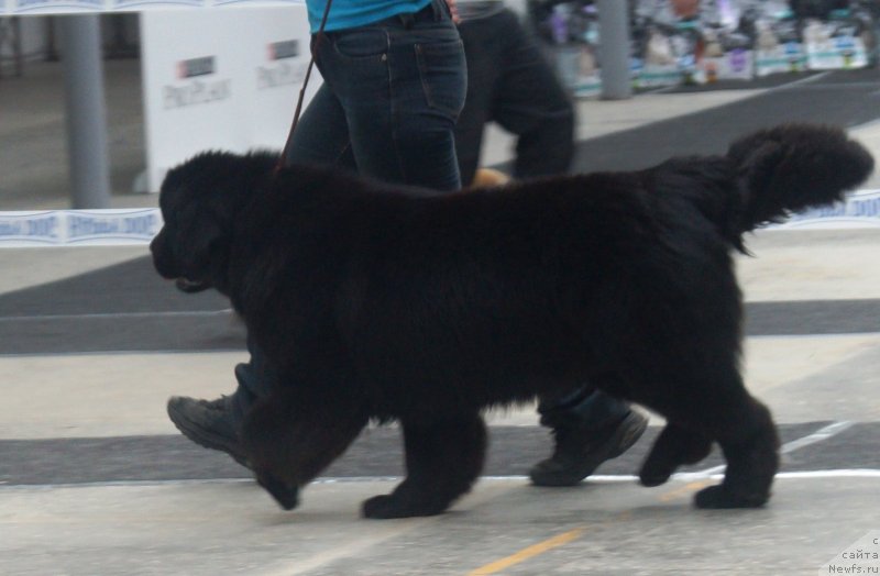 Фотография № 241512