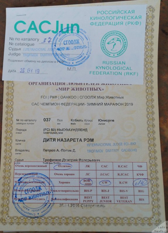 Фотография № 241514