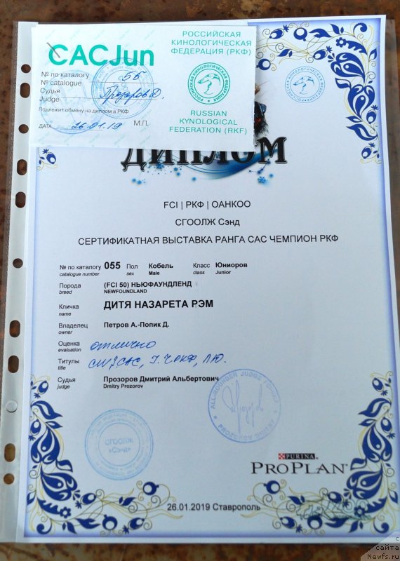 Фотография № 241518