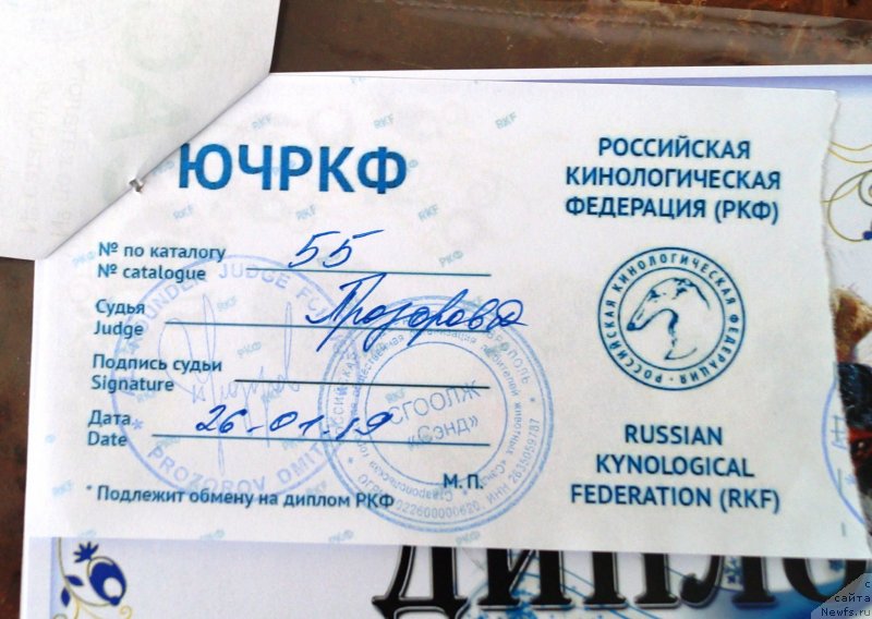 Фотография № 241519