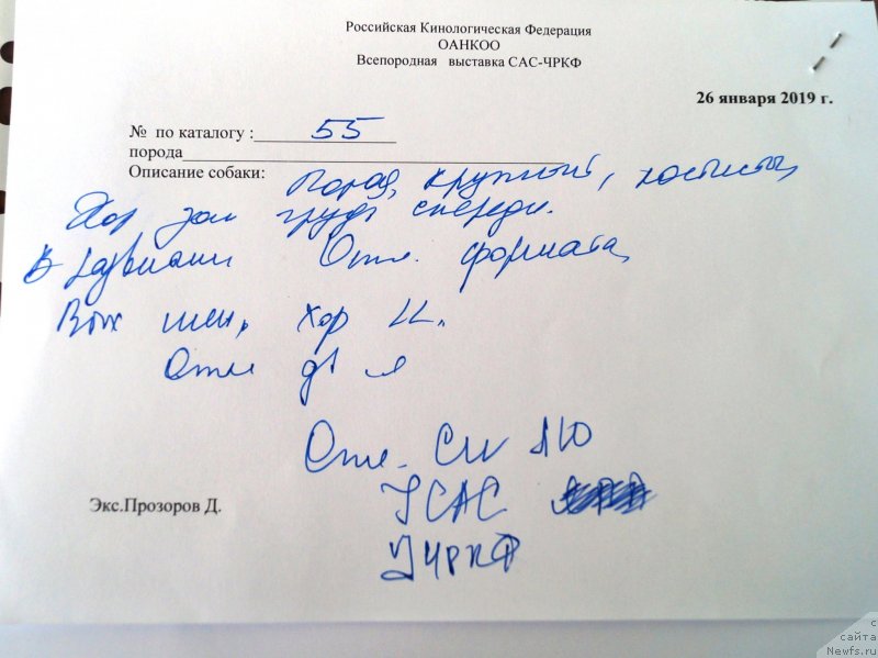 Фотография № 241521