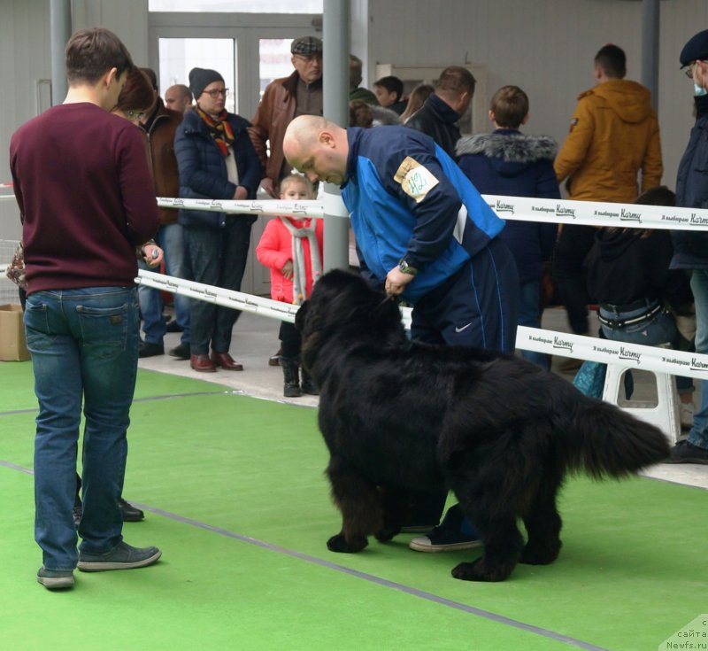 Фотография № 241522