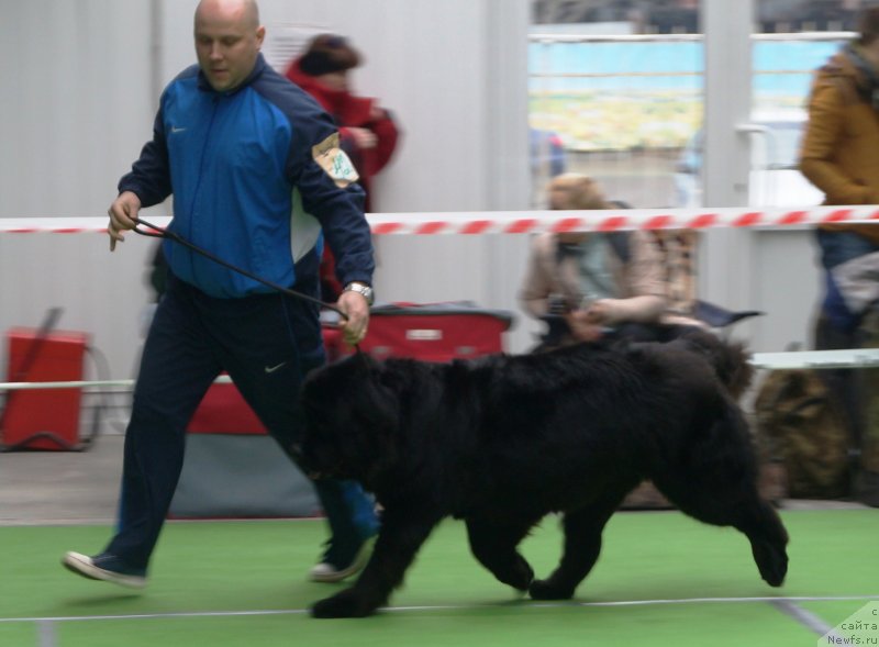 Фотография № 241523