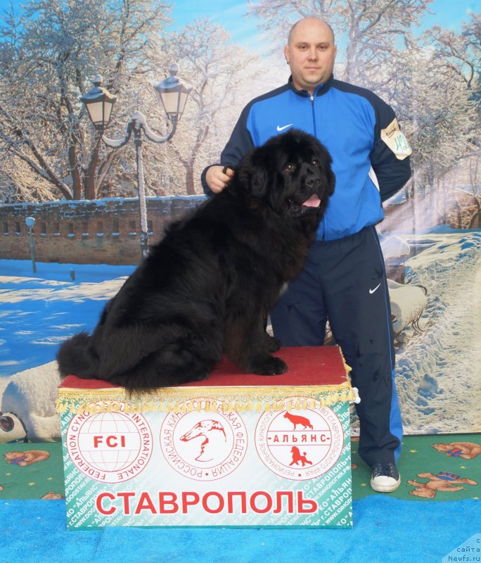 Фотография № 241525