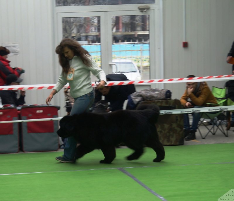 Фотография № 241526