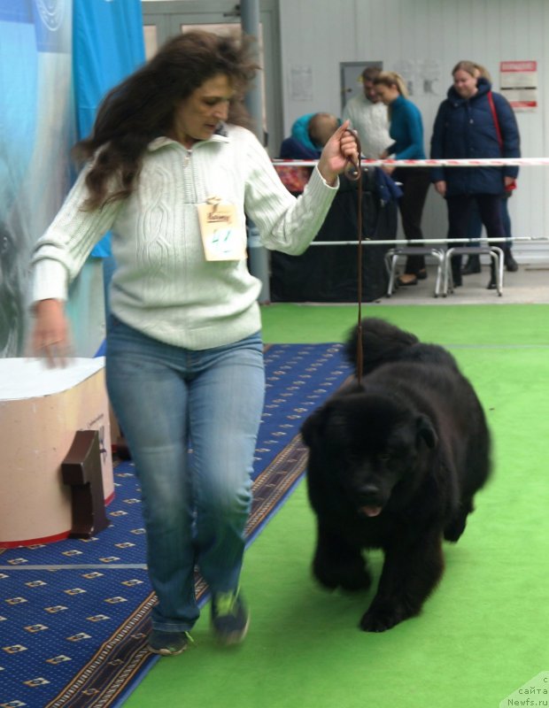 Фотография № 241527