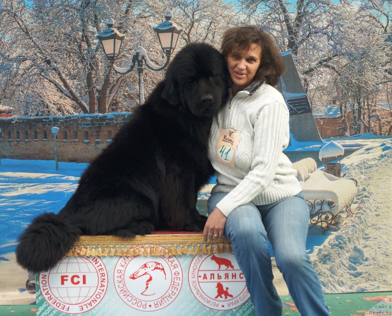 Фотография № 241531