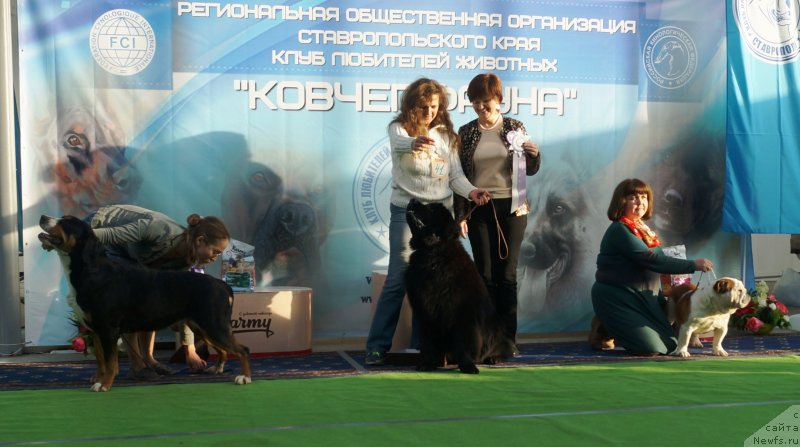 Фотография № 241533