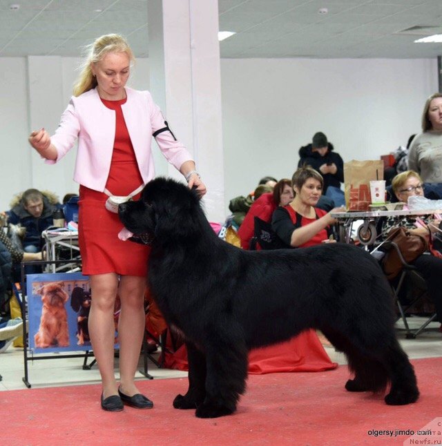 Фотография № 241558