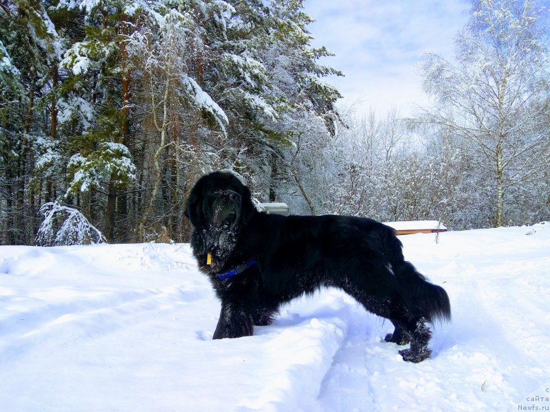 Фотография № 241629