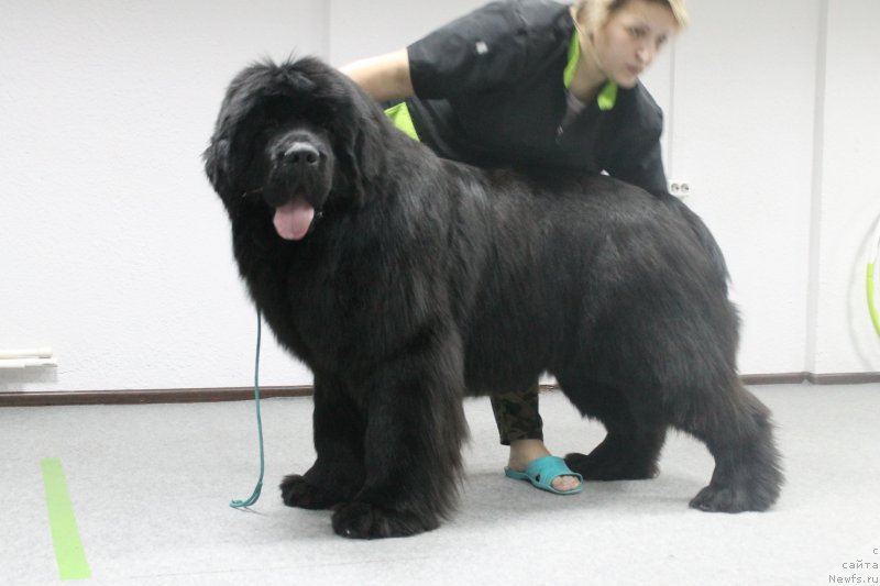 Фотография № 241631