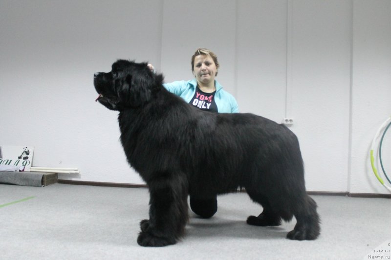 Фотография № 241632