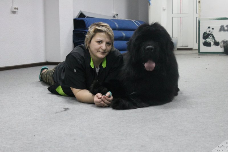 Фотография № 241633