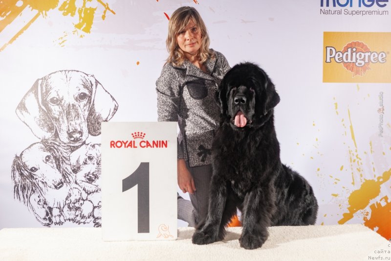 Фотография № 241669