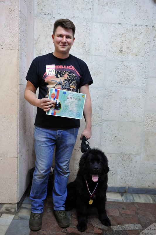 Фото: ньюфаундленд YAhont Zavetnyiy Talisman (Яхонт Заветный Талисман)