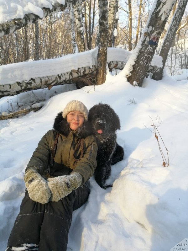 Фото: ньюфаундленд YAsmina CHaruyuschaya Princessa (Ясмина Чарующая Принцесса)