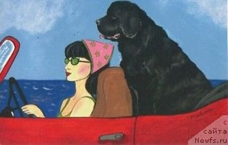 Фотография № 241690