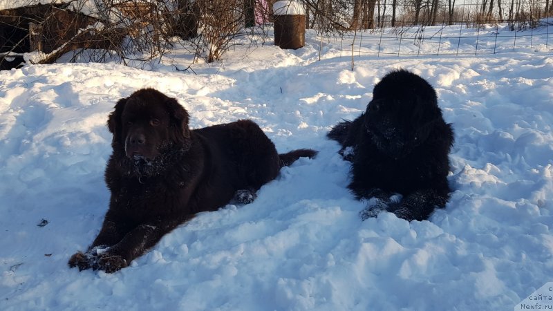 Фото: Ol'ga Pantyuhina (Ольга Пантюхина)