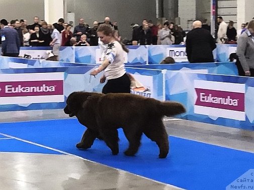 Фотография № 241713