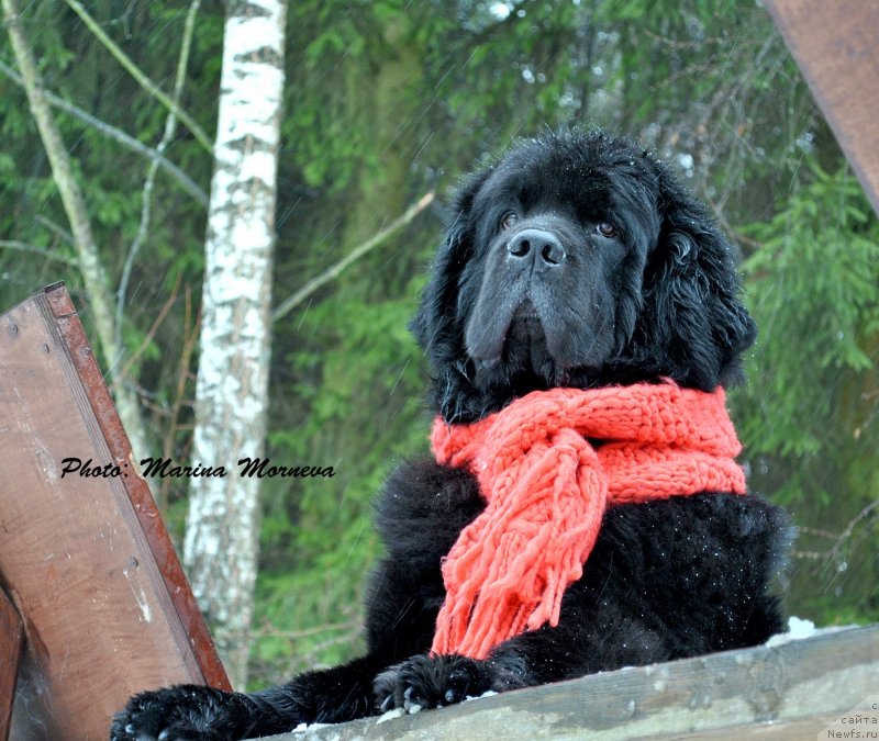 Фотография № 241734