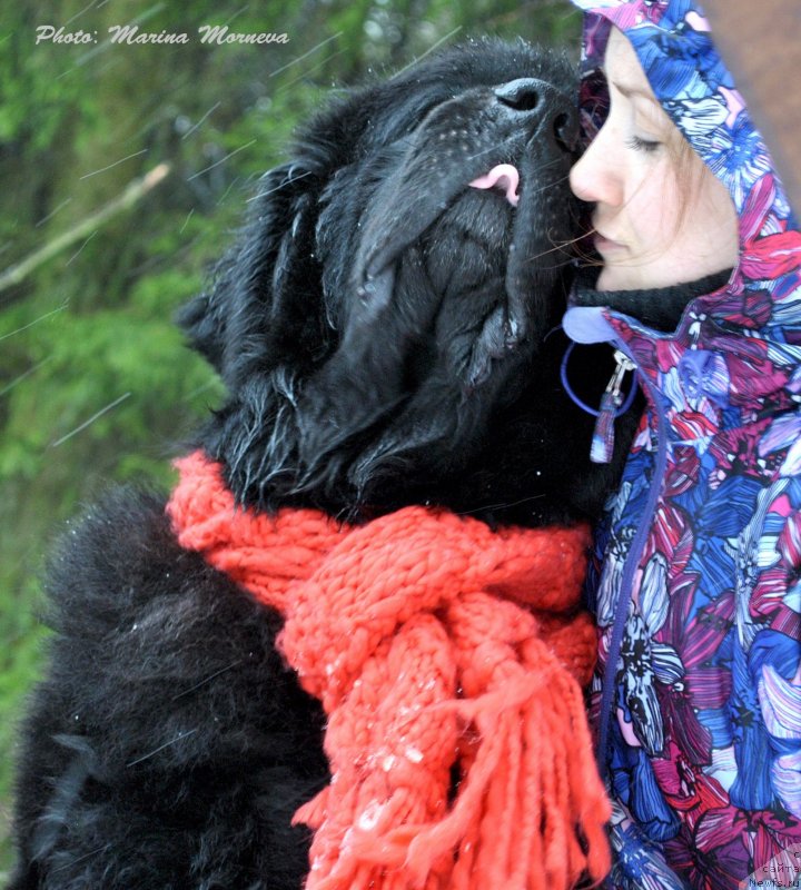 Фотография № 241735