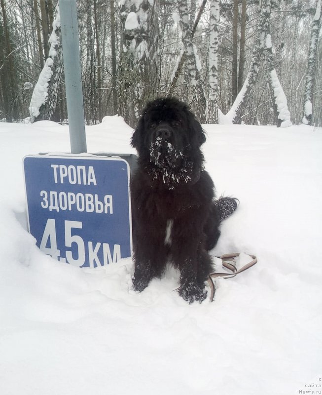 Фотография № 241761