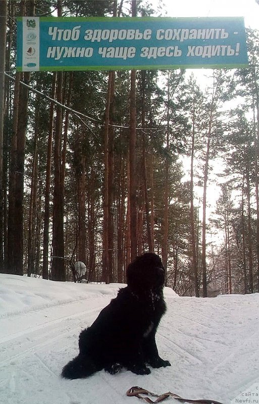 Фотография № 241763