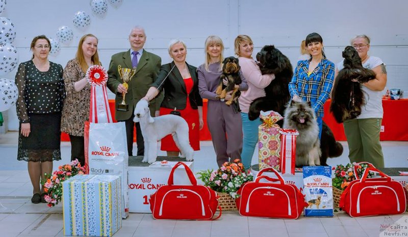 Фотография № 241778