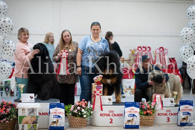 Фотография № 241779