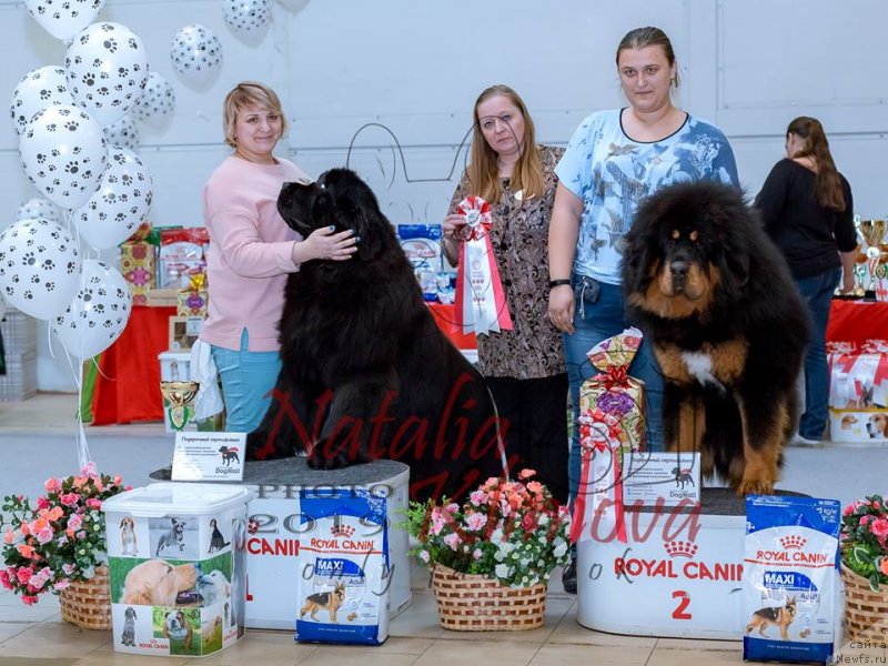 Фотография № 241820