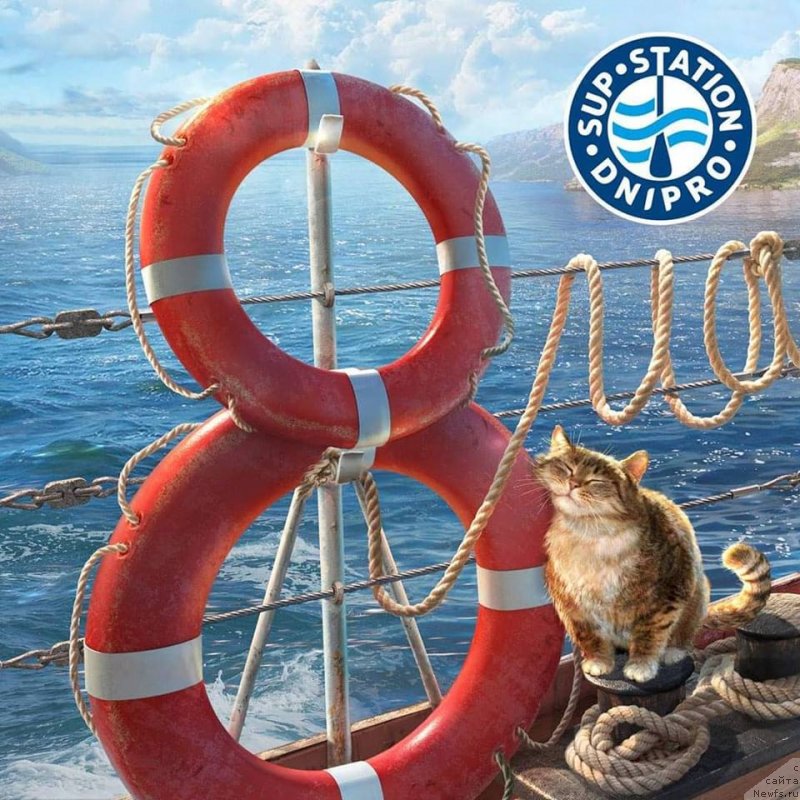 Фотография № 241826