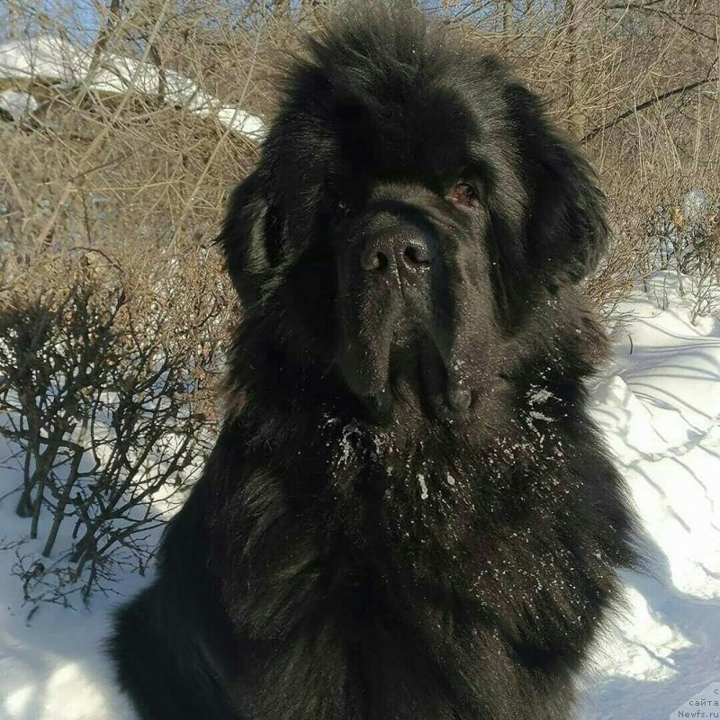 Фотография № 241829