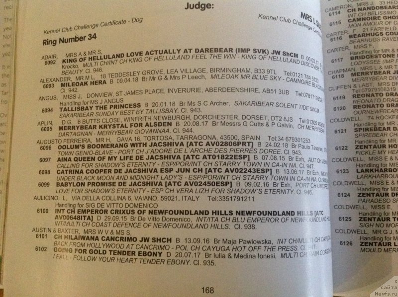 Фотография № 241832