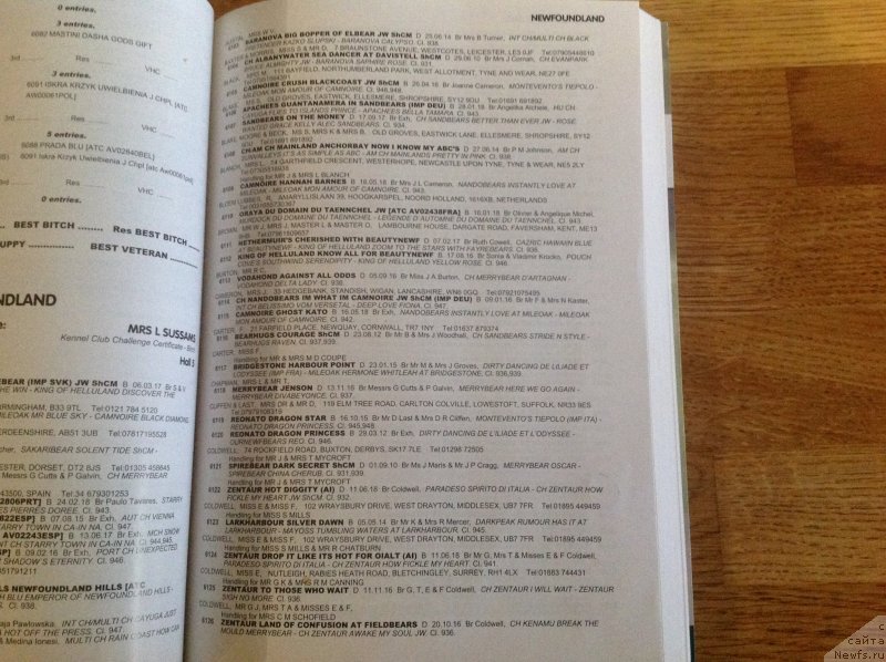 Фотография № 241833