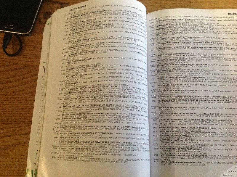 Фотография № 241834