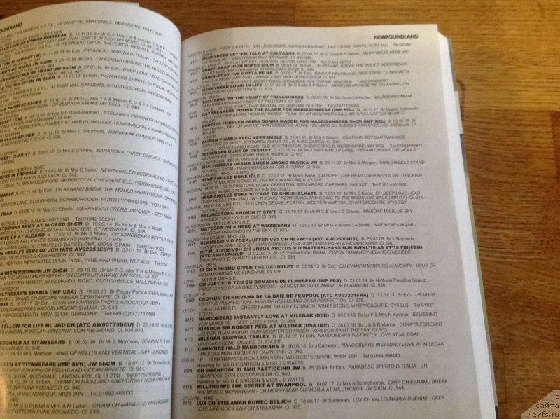 Фотография № 241835