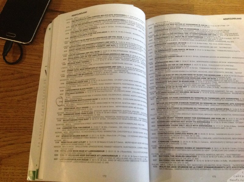 Фотография № 241836