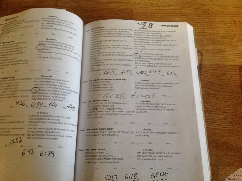 Фотография № 241840