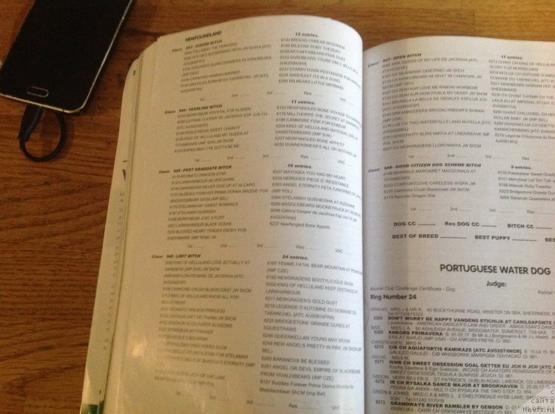 Фотография № 241841