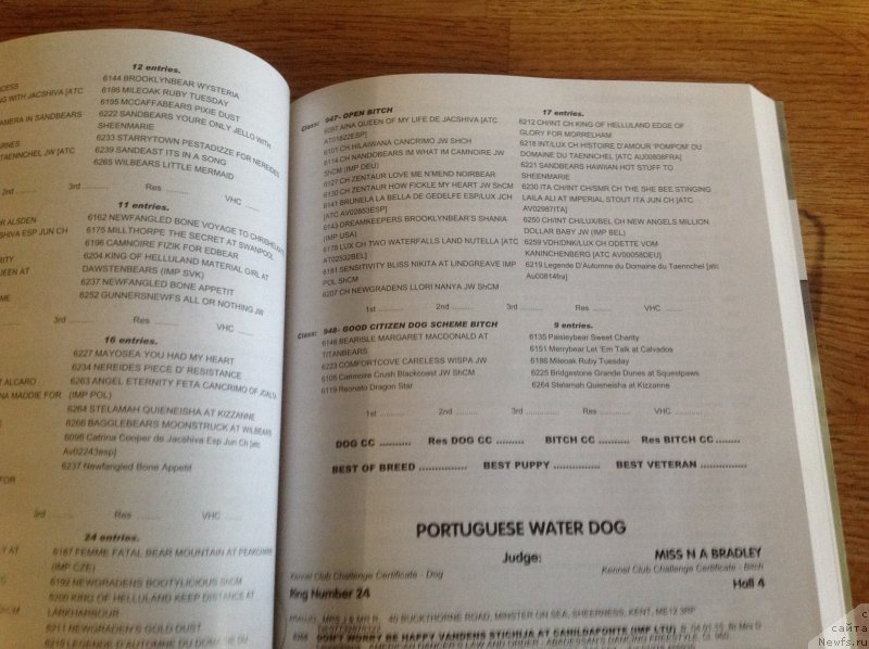 Фотография № 241842