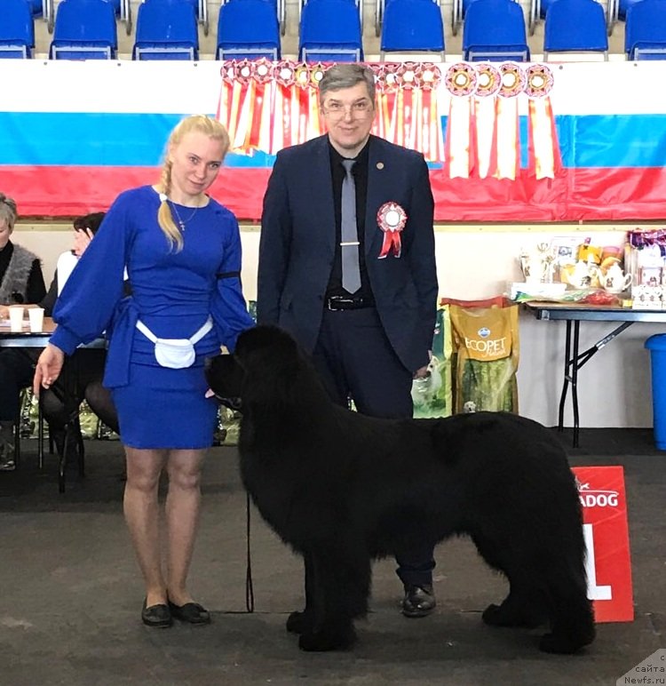 Фотография № 241847