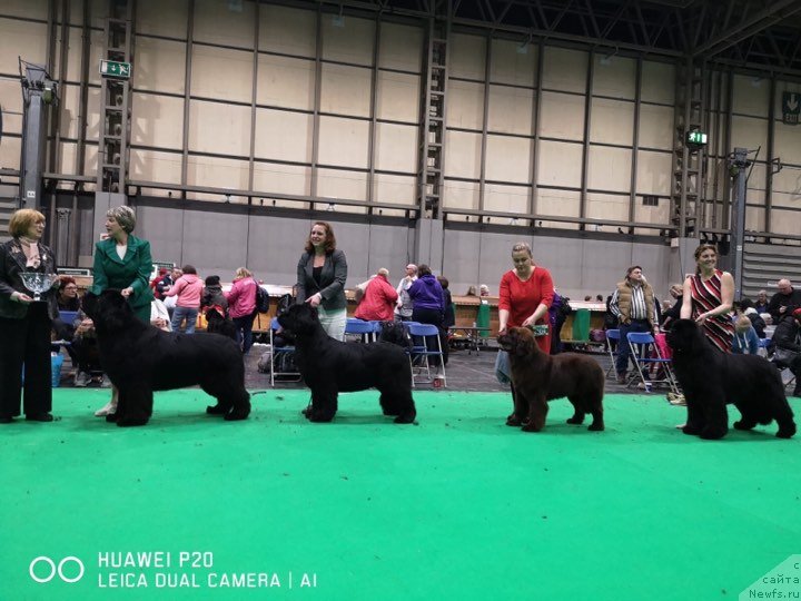 Фотография № 241921