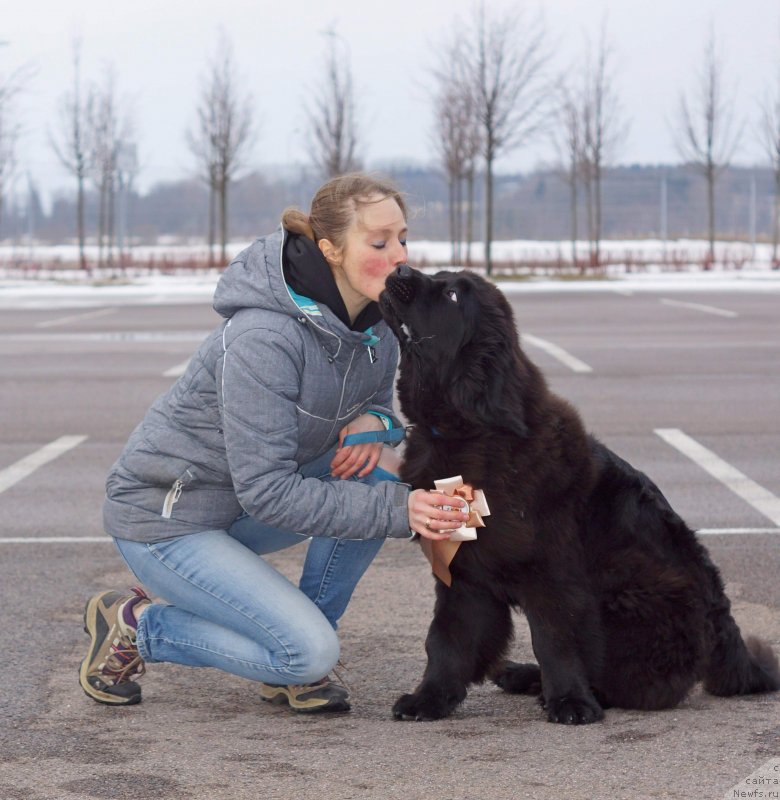 Фотография № 241979