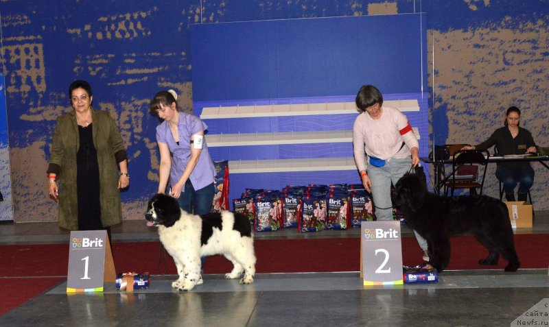 Фотография № 241986