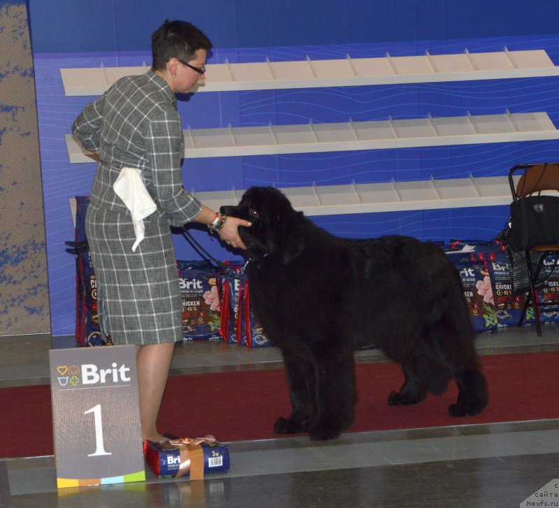 Фотография № 241987