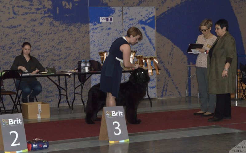 Фотография № 241988